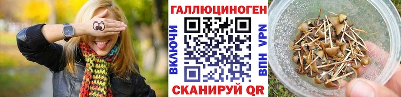 hydra онион  Горбатов  Галлюциногенные грибы Cubensis  где можно купить наркотик 